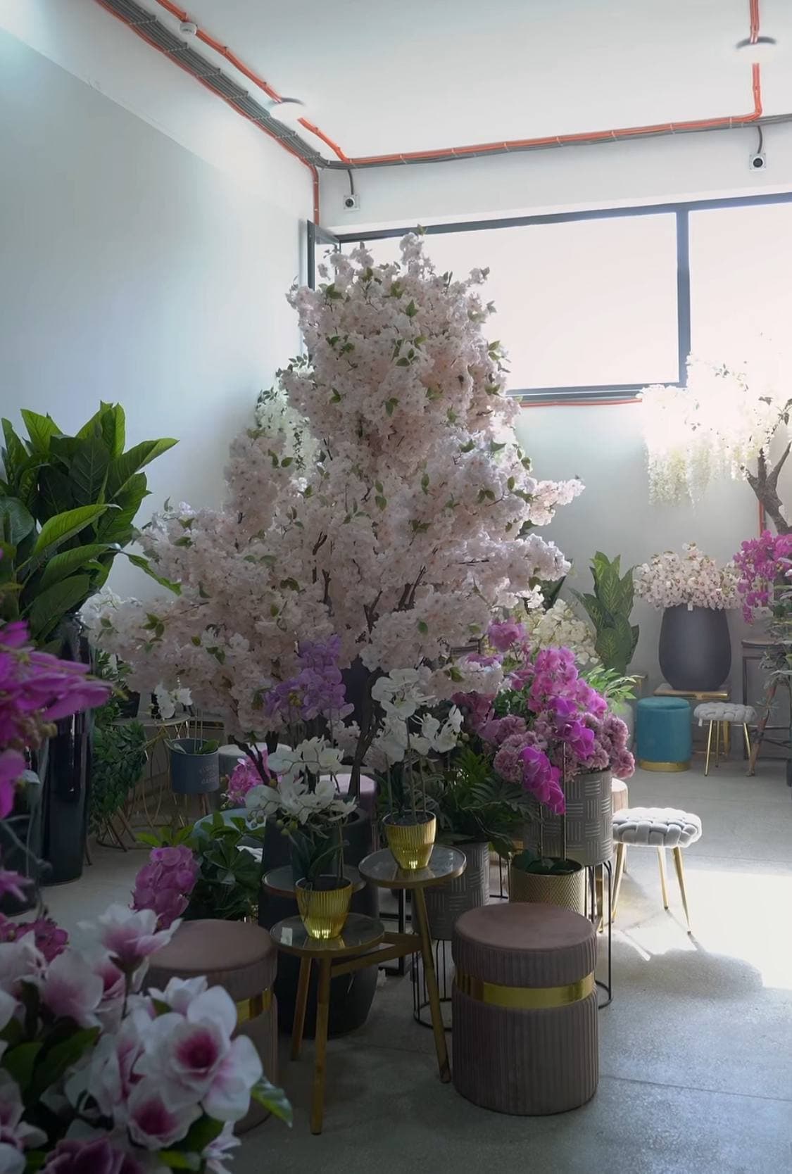 Toshkent Gullari Decor